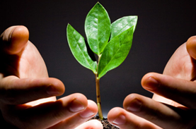 GESTÃO AMBIENTAL